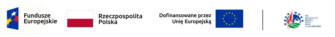 logotypy Fundusze Europejskie